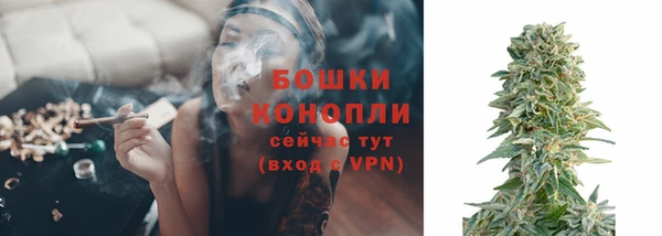 мет Новозыбков