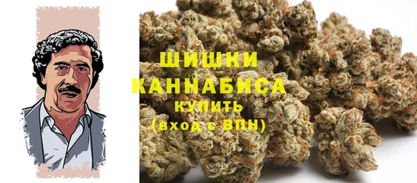 мет Новозыбков