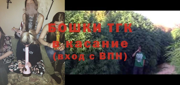 ПСИЛОЦИБИНОВЫЕ ГРИБЫ Абаза