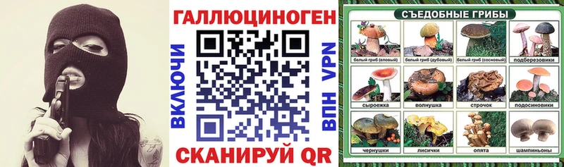 даркнет сайт  Лесозаводск  Галлюциногенные грибы Psilocybine cubensis 